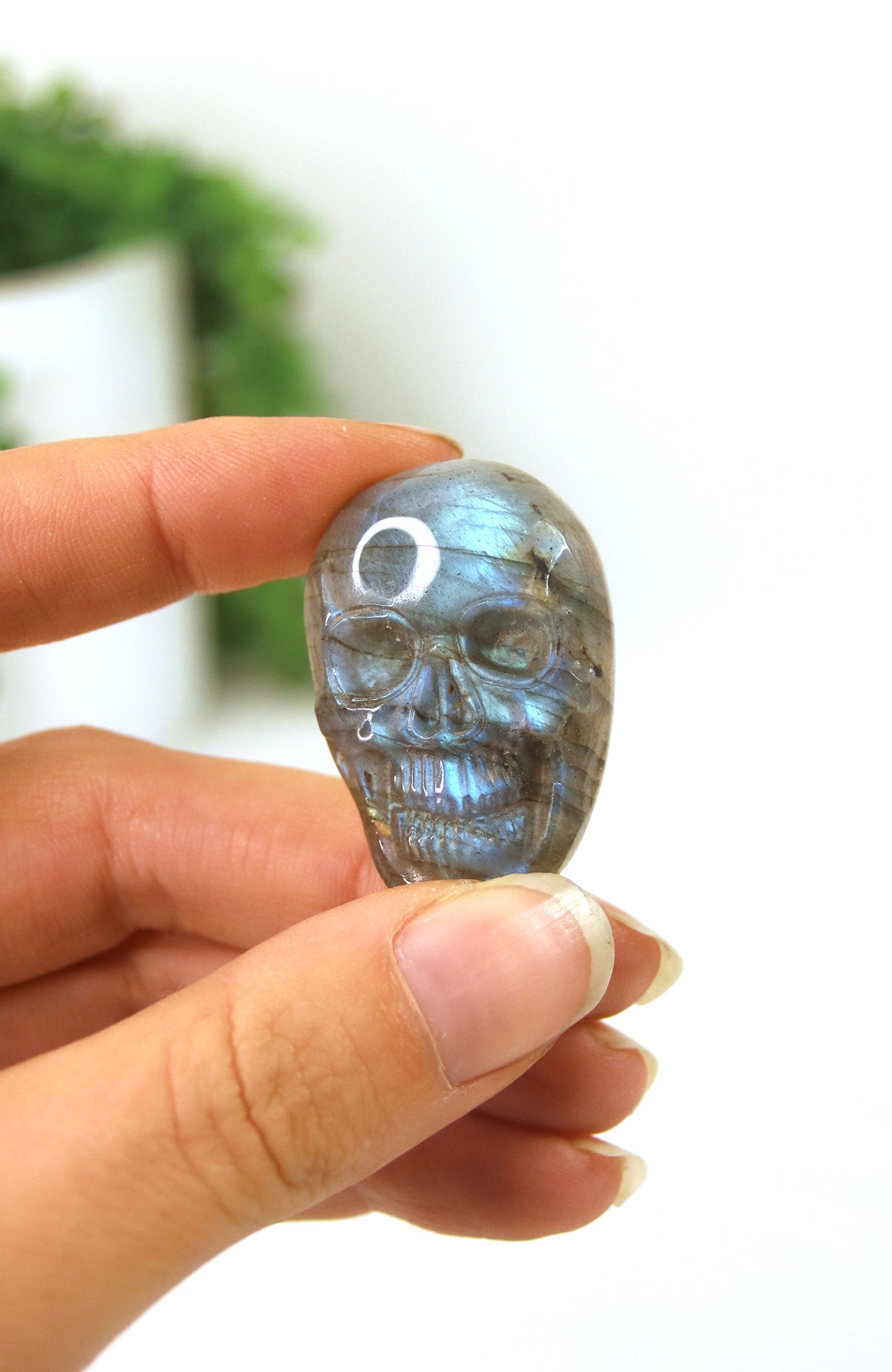 Labradorite Skull Faces